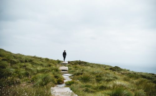 Person walking on path in green landscape.